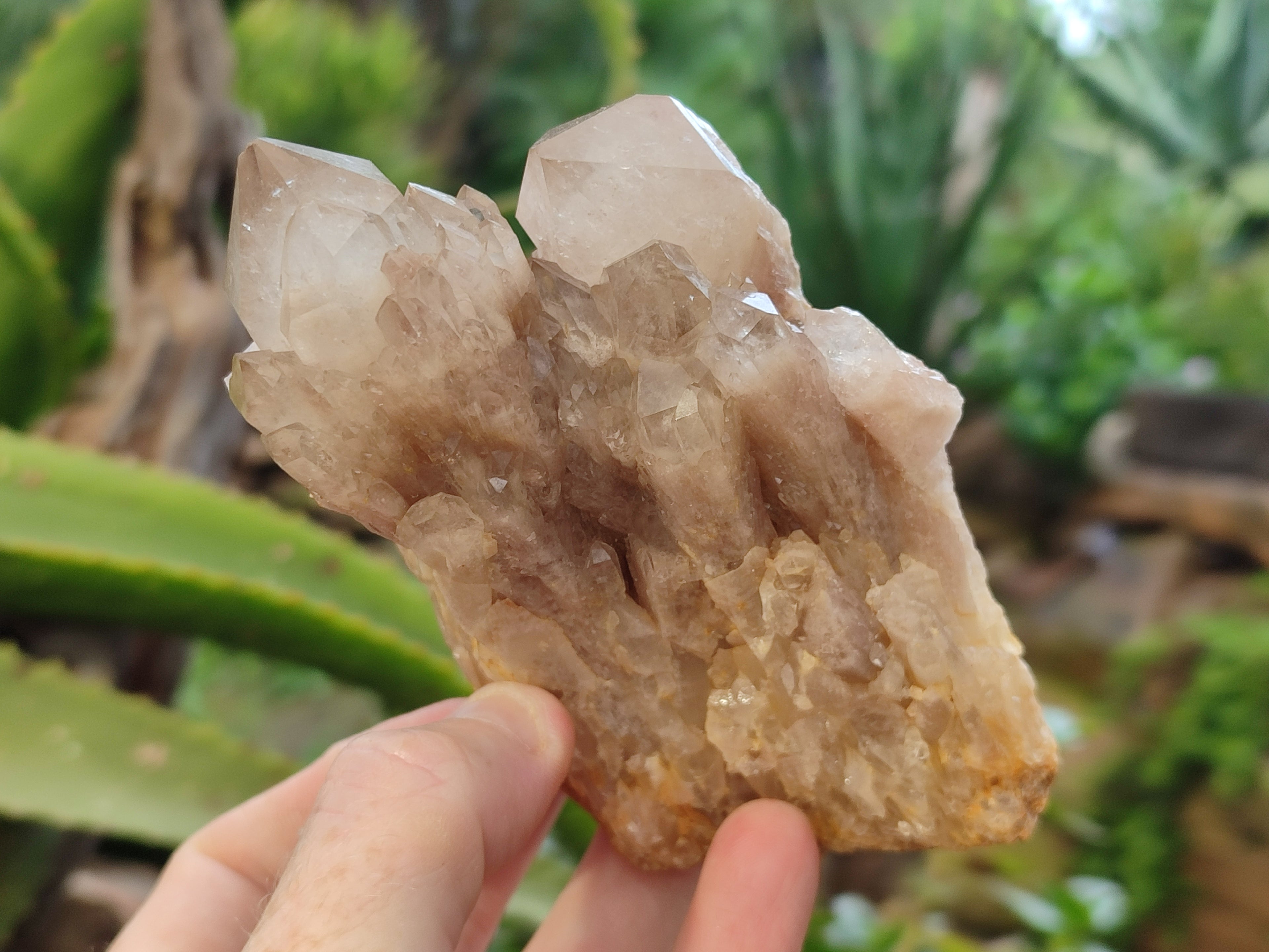 Natural Smokey Phantom Quartz Clusters x 4 From Luena, Congo - Toprock Gemstones and Minerals 
