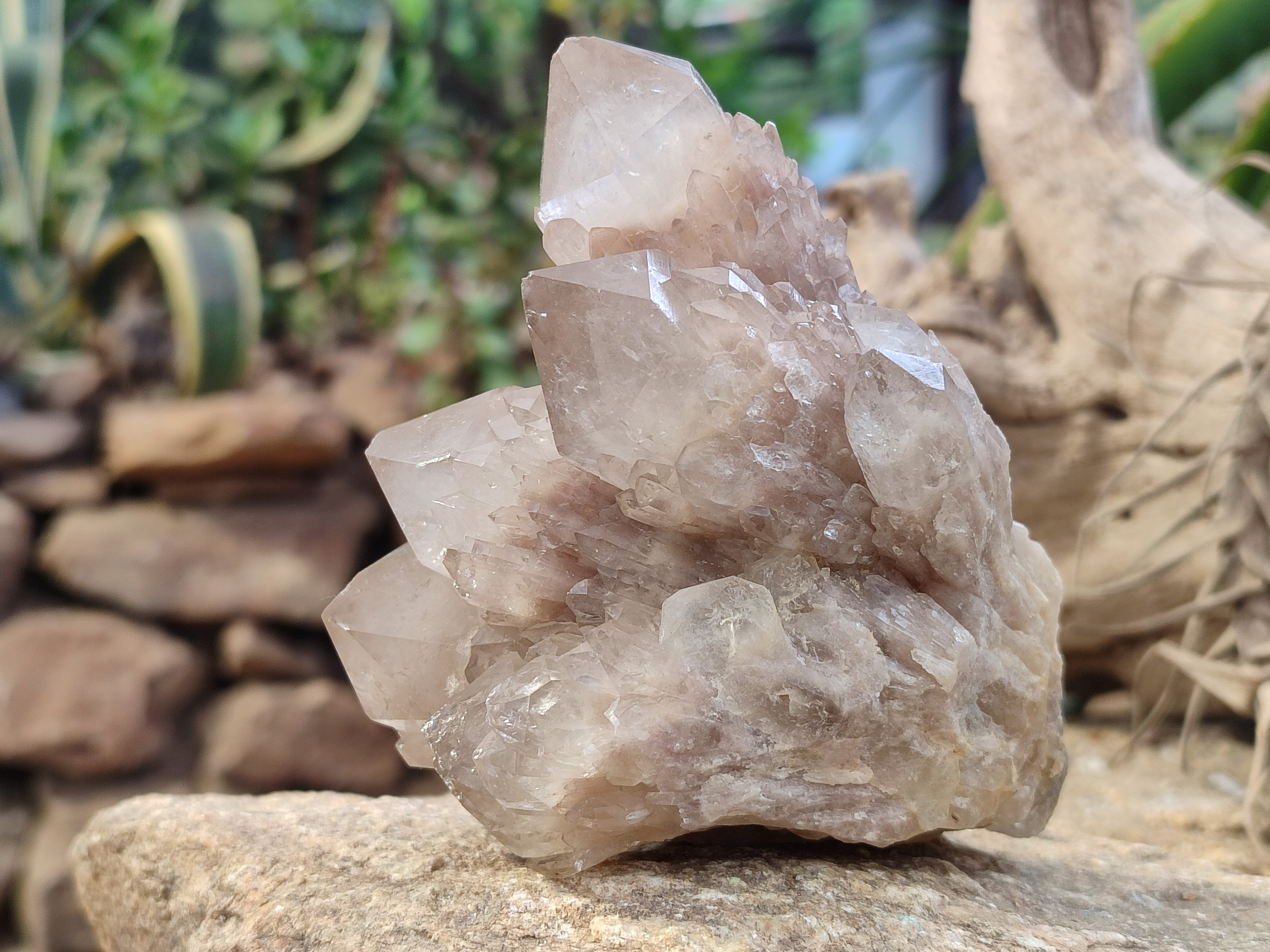 Natural Smokey Phantom Quartz Clusters x 4 From Luena, Congo - Toprock Gemstones and Minerals 