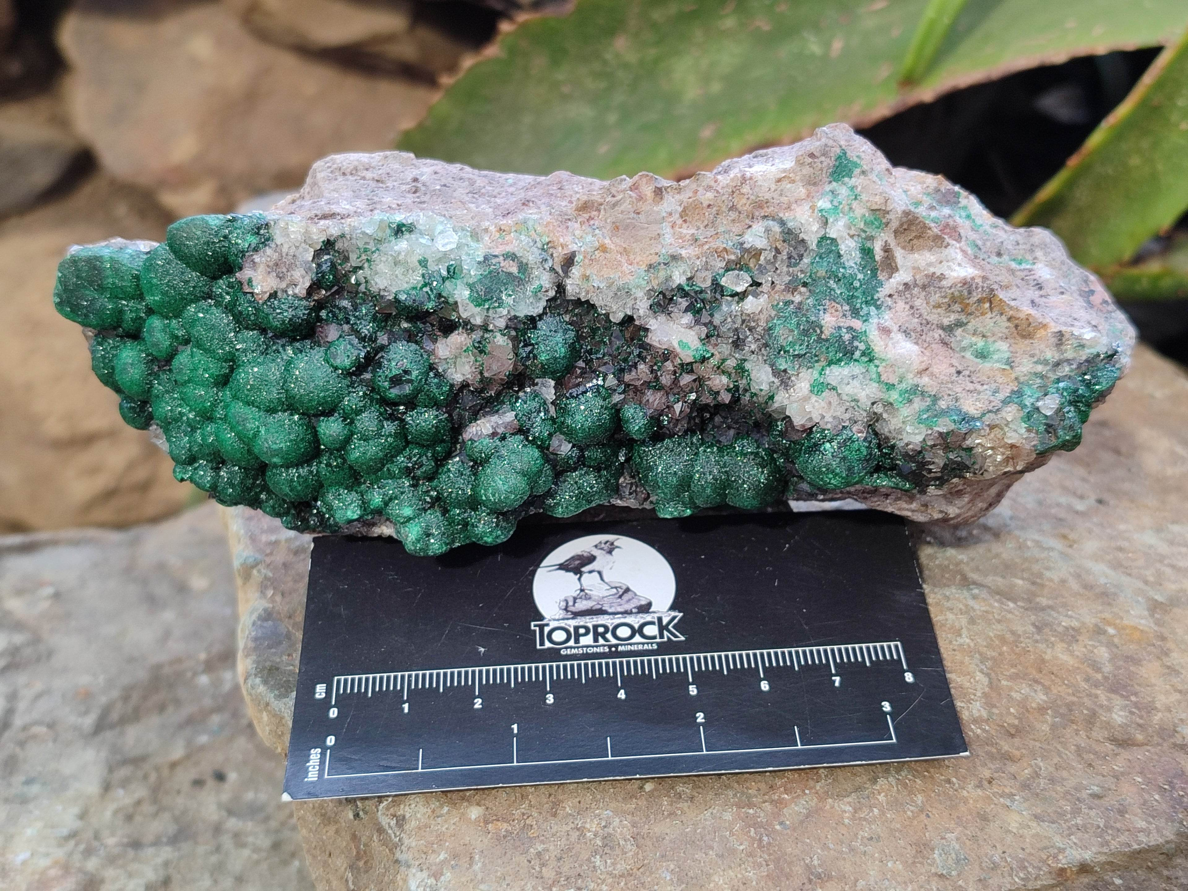 Natural Ball Malachite On Dolomite Matrix Specimens x 2 From Kambove, Congo - Toprock Gemstones and Minerals 