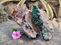 Natural Ball Malachite On Dolomite Matrix Specimens x 2 From Kambove, Congo