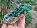 Natural Ball Malachite On Dolomite Matrix Specimens x 2 From Kambove, Congo - Toprock Gemstones and Minerals 