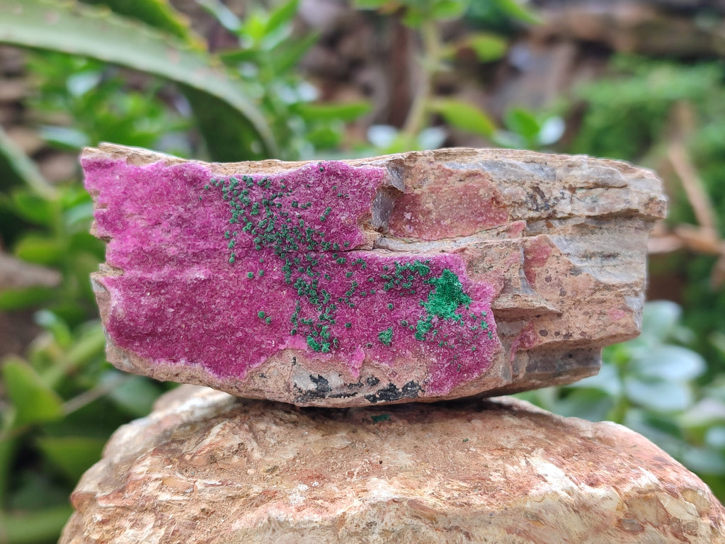 Natural Mixed selection of Minerals x 6 From Southern Africa - Toprock Gemstones and Minerals 