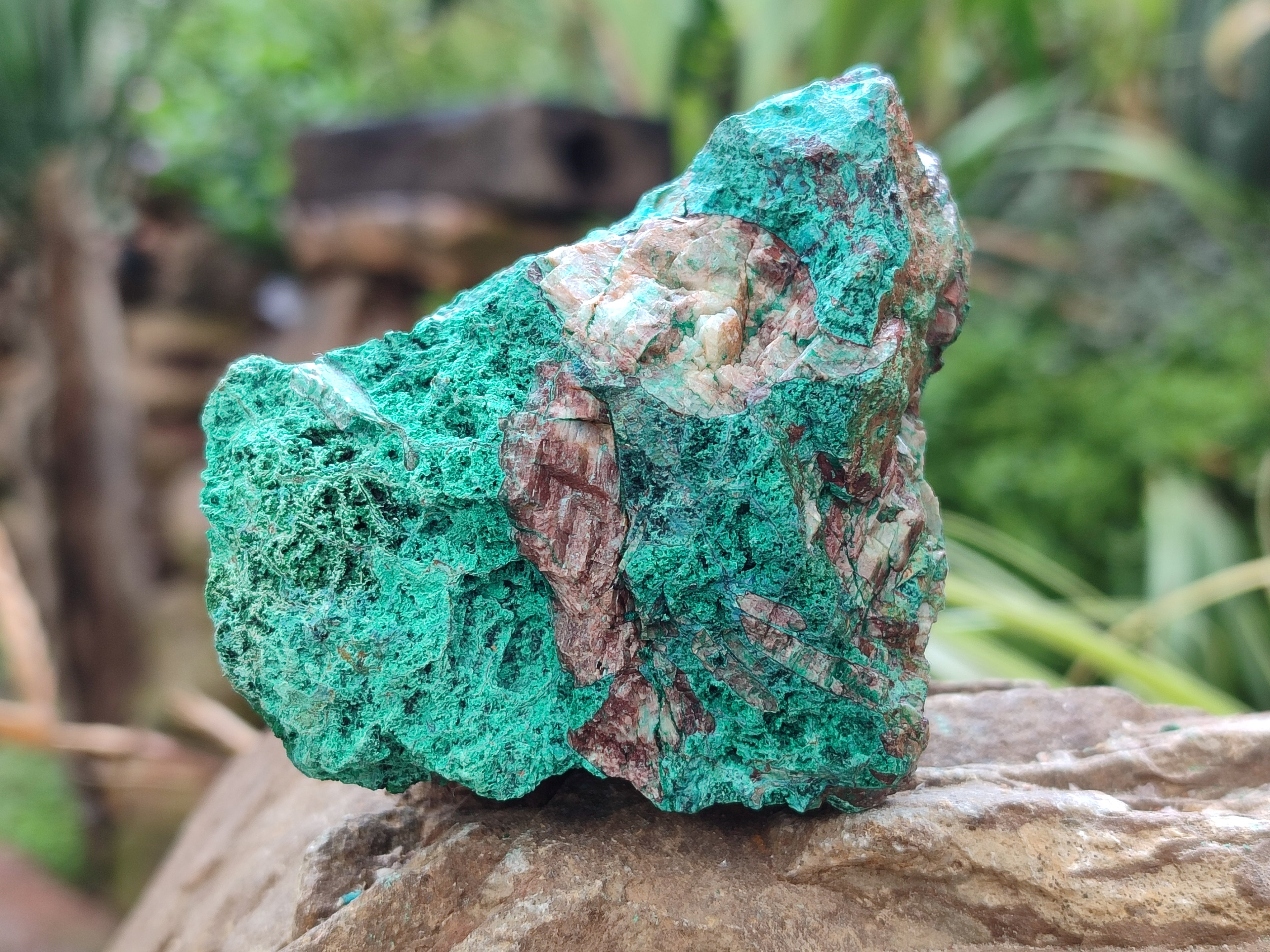 Natural Mixed selection of Minerals x 6 From Southern Africa - Toprock Gemstones and Minerals 