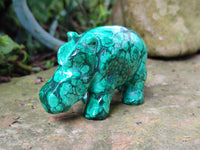 Hand Made Large Flower Banded Malachite Rhino Carving x 2 From Congo