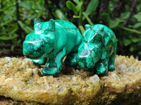 Hand Made Large Flower Banded Malachite Rhino Carving x 2 From Congo