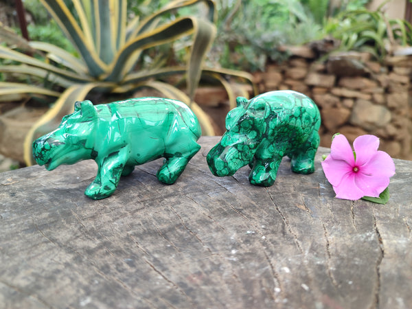 Hand Made Large Flower Banded Malachite Rhino Carving x 2 From Congo