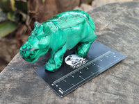Hand Made Large Flower Banded Malachite Rhino Carving x 2 From Congo