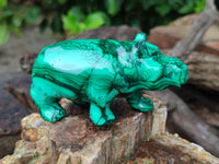 Hand Made Large Flower Banded Malachite Rhino Carving x 2 From Congo