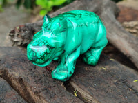 Hand Made Large Flower Banded Malachite Rhino Carving x 2 From Congo