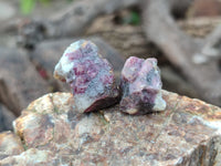 Natural Rubellite Pink Tourmaline Specimens x 2.56 Kg Lot From Ambatondrazaka, Madagascar