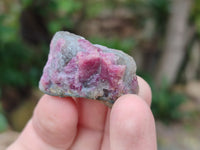 Natural Rubellite Pink Tourmaline Specimens x 2.56 Kg Lot From Ambatondrazaka, Madagascar
