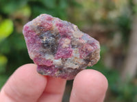 Natural Rubellite Pink Tourmaline Specimens x 2.56 Kg Lot From Ambatondrazaka, Madagascar