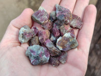 Natural Rubellite Pink Tourmaline Specimens x 2.56 Kg Lot From Ambatondrazaka, Madagascar
