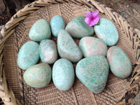 Polished Amazonite Palm Stones x 12 From Madagascar