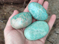 Polished Amazonite Palm Stones x 12 From Madagascar
