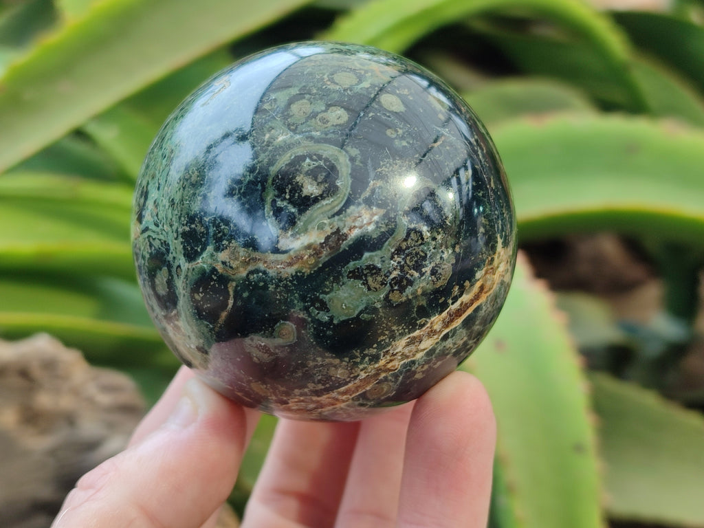 Polished Stromatolite Jasper Spheres x 4 From Katsepy, Madagascar - Toprock Gemstones and Minerals 