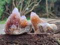 Natural Ametrine Spirit Quartz Clusters x 12 From Boekenhouthoek, South Africa - Toprock Gemstones and Minerals 