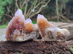 Natural Ametrine Spirit Quartz Clusters x 12 From Boekenhouthoek, South Africa - Toprock Gemstones and Minerals 