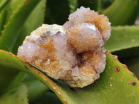 Natural Ametrine Spirit Quartz Clusters x 12 From Boekenhouthoek, South Africa - Toprock Gemstones and Minerals 