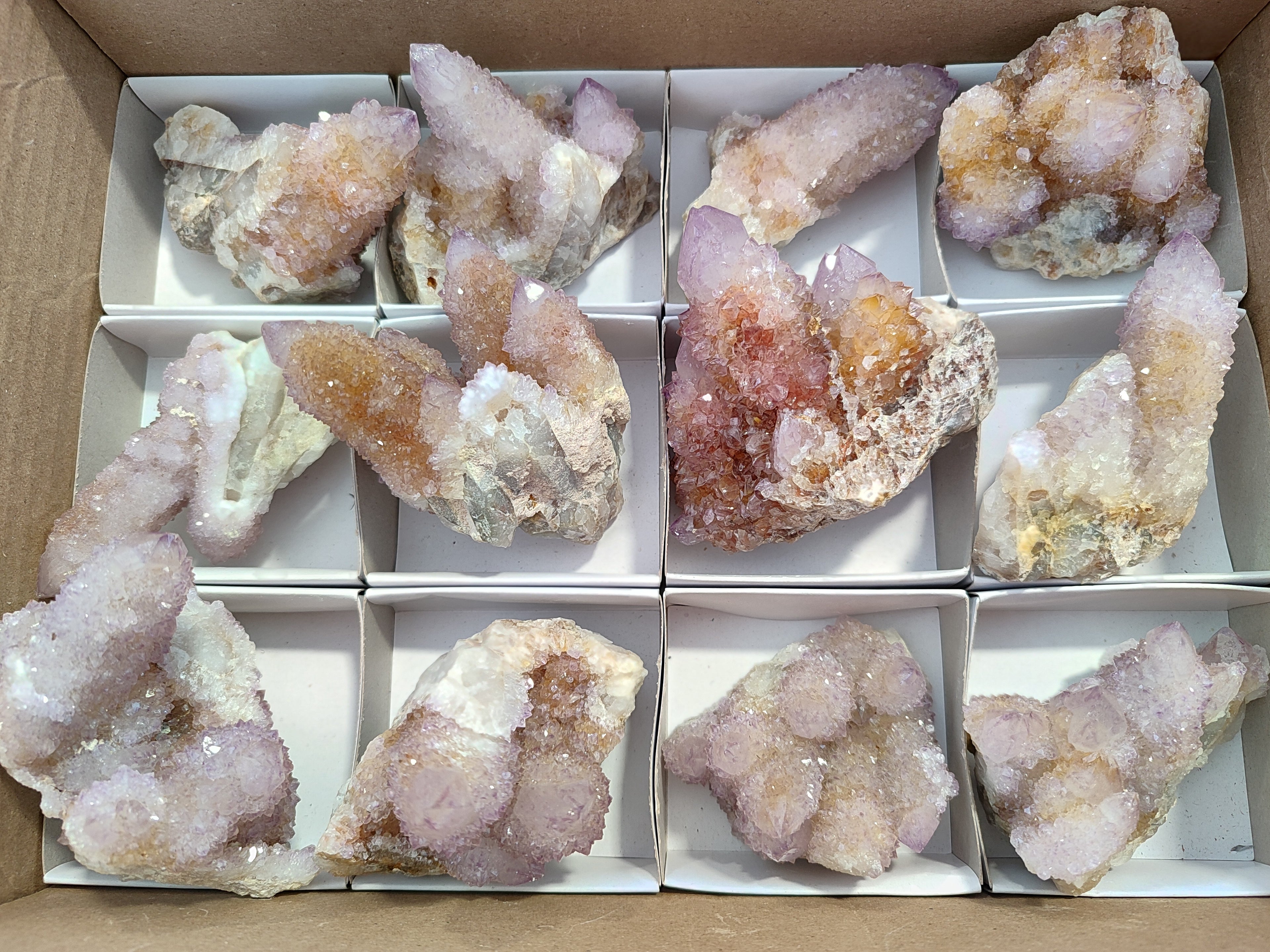 Natural Ametrine Spirit Quartz Clusters x 12 From Boekenhouthoek, South Africa - Toprock Gemstones and Minerals 