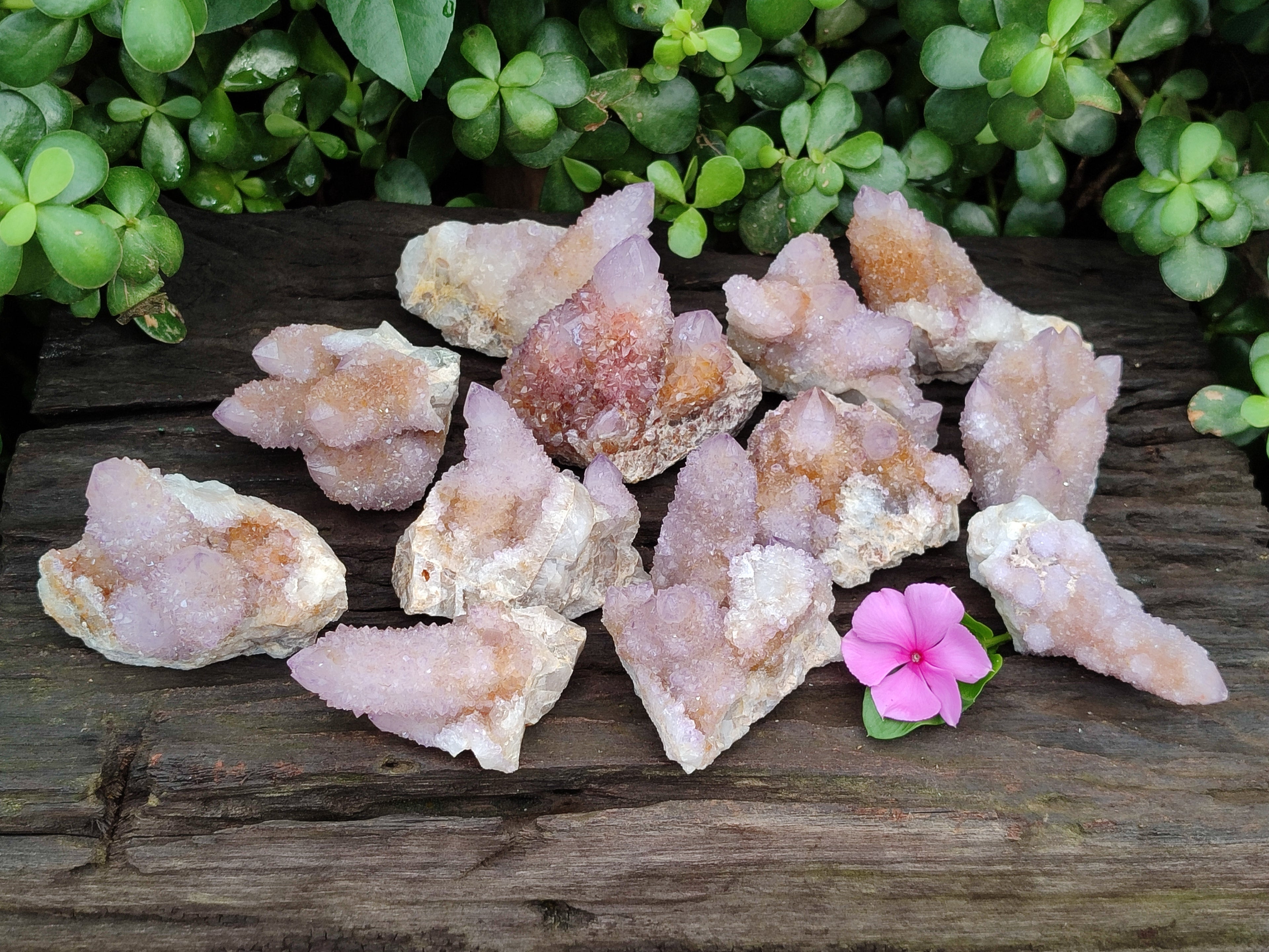 Natural Ametrine Spirit Quartz Clusters x 12 From Boekenhouthoek, South Africa - Toprock Gemstones and Minerals 