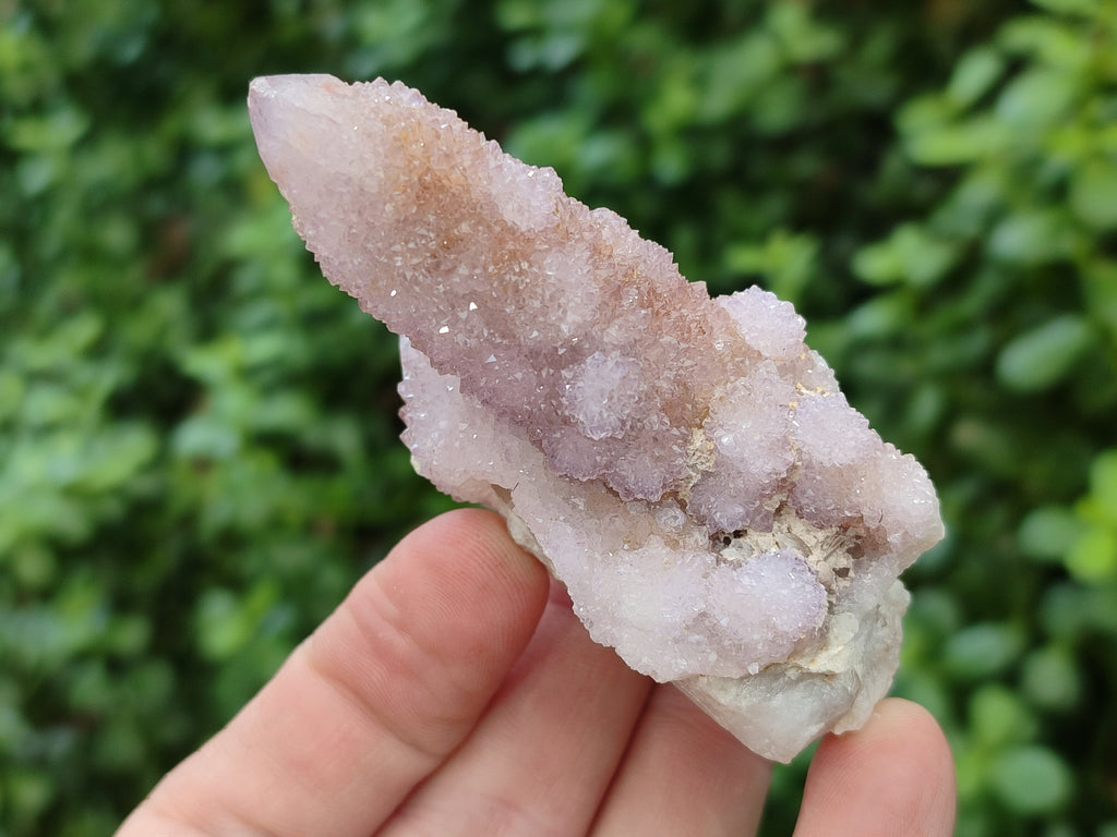 Natural Ametrine Spirit Quartz Clusters x 12 From Boekenhouthoek, South Africa - Toprock Gemstones and Minerals 