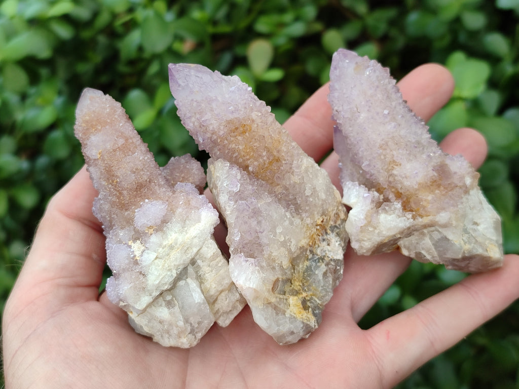 Natural Ametrine Spirit Quartz Clusters x 12 From Boekenhouthoek, South Africa - Toprock Gemstones and Minerals 