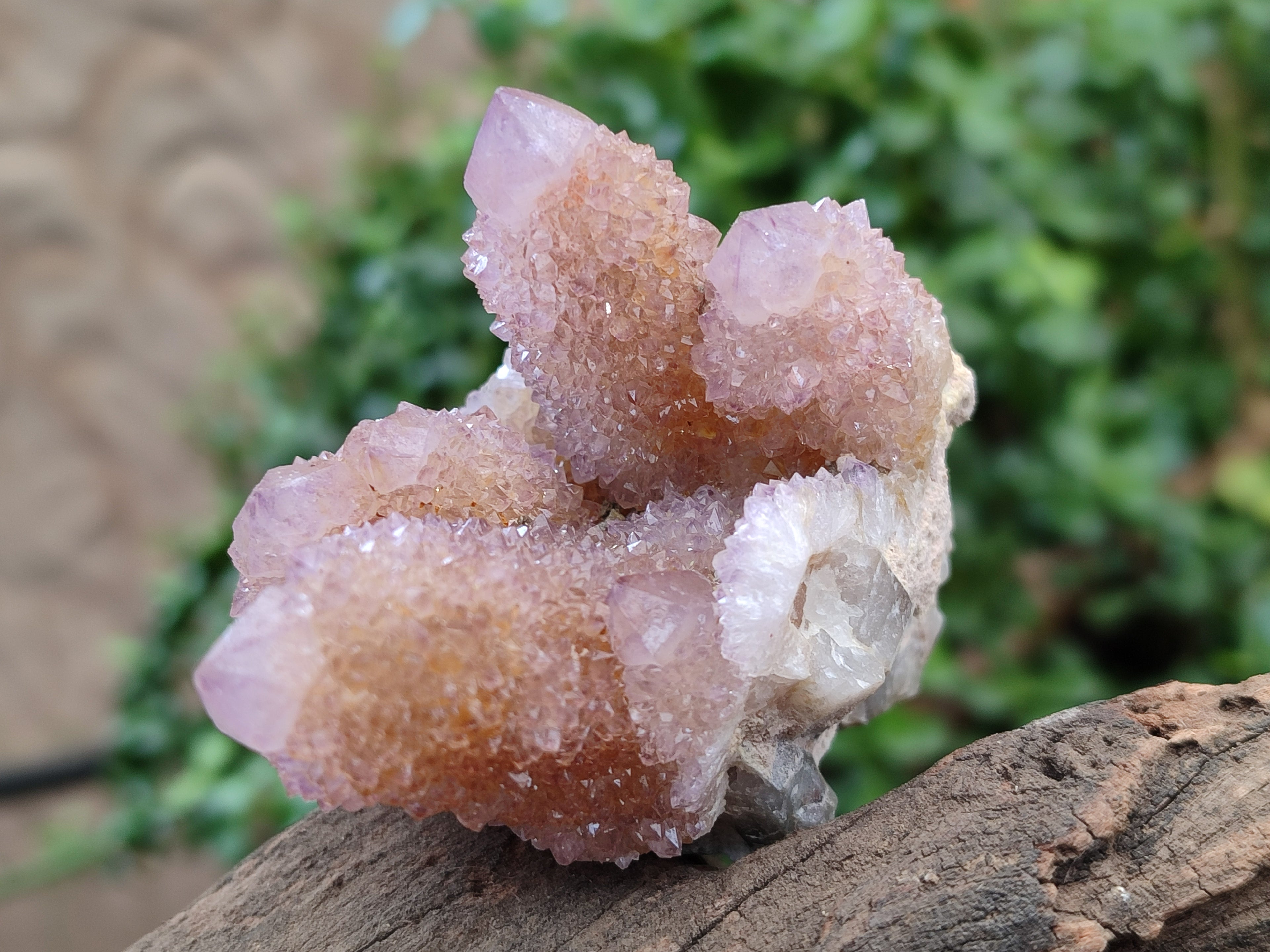 Natural Ametrine Spirit Quartz Clusters x 12 From Boekenhouthoek, South Africa - Toprock Gemstones and Minerals 