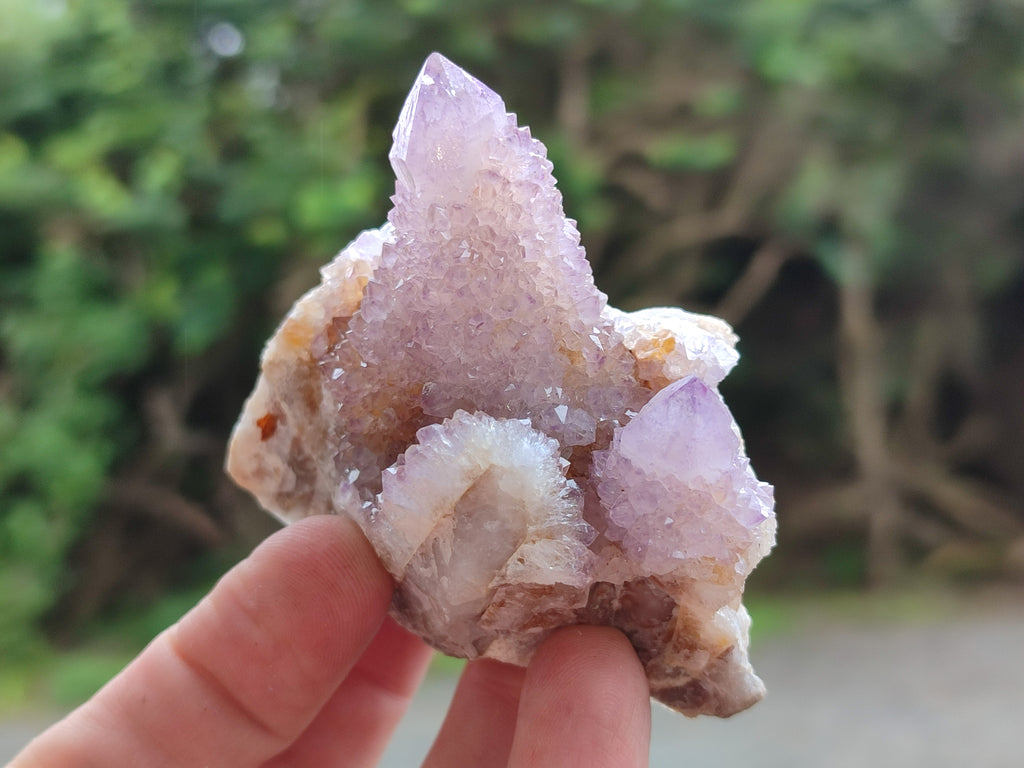 Natural Ametrine Spirit Quartz Clusters x 12 From Boekenhouthoek, South Africa - Toprock Gemstones and Minerals 