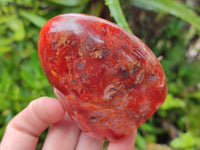 Polished Carnelian Standing Free Forms x 5 From Madagascar