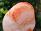 Polished Carnelian Standing Free Forms x 5 From Madagascar - Toprock Gemstones and Minerals 