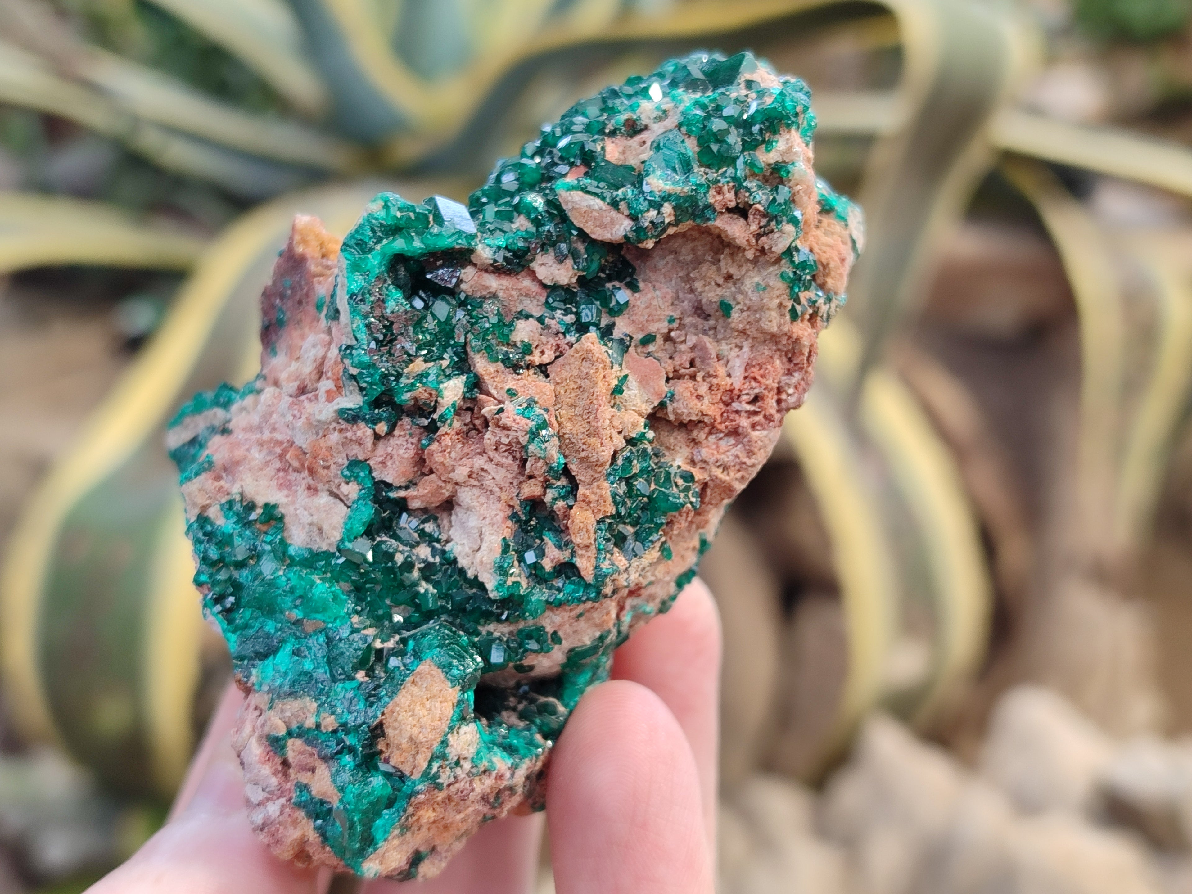 Natural Dioptase Cabinet Specimens x 2 From Likasi, Congo - Toprock Gemstones and Minerals 