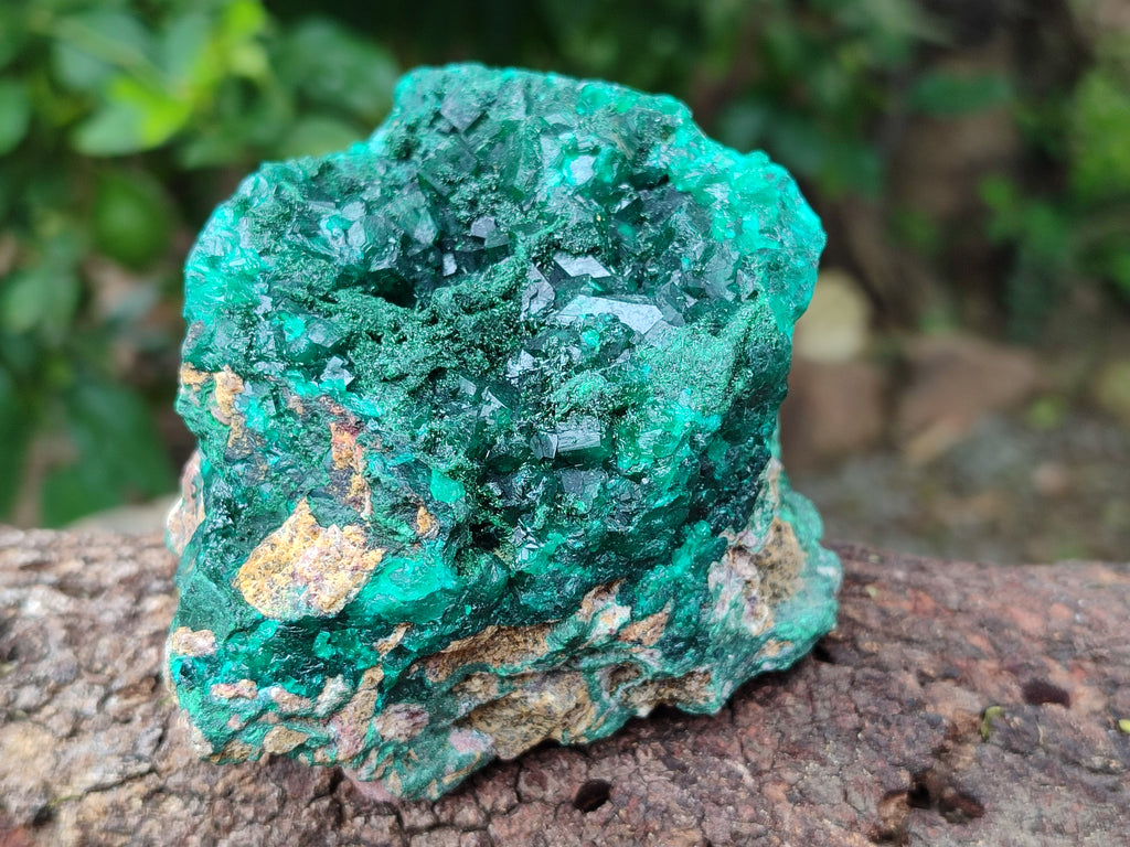 Natural Dioptase Cabinet Specimens x 2 From Likasi, Congo - Toprock Gemstones and Minerals 