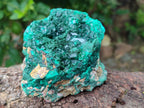 Natural Dioptase Cabinet Specimens x 2 From Likasi, Congo - Toprock Gemstones and Minerals 