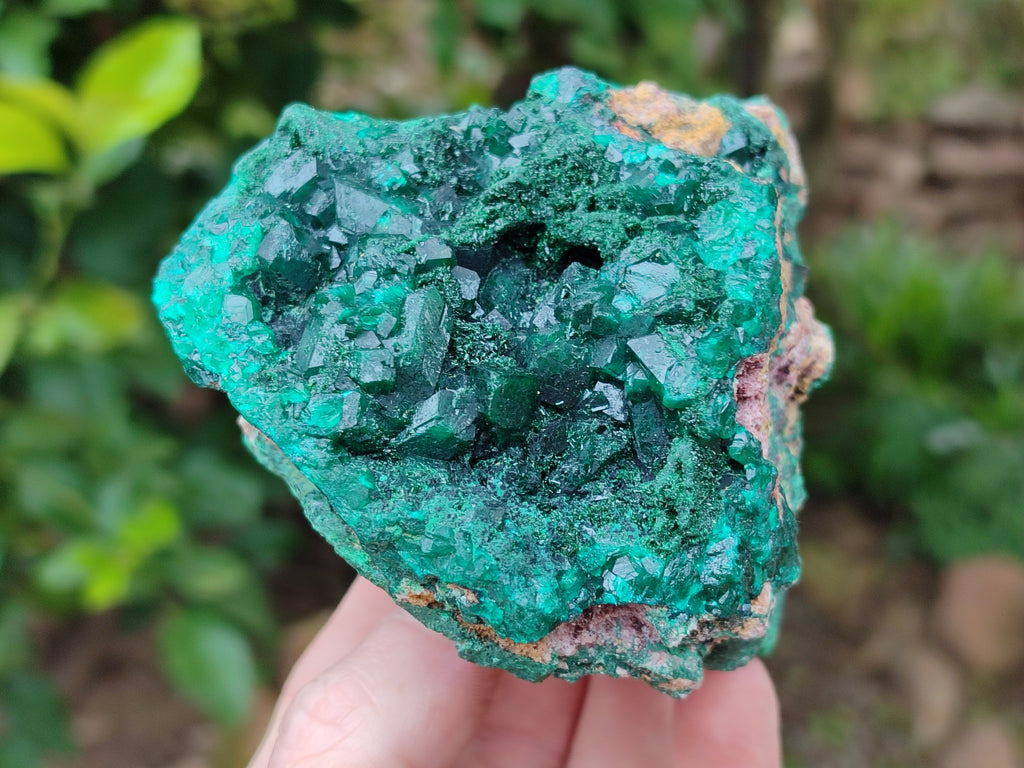 Natural Dioptase Cabinet Specimens x 2 From Likasi, Congo - Toprock Gemstones and Minerals 