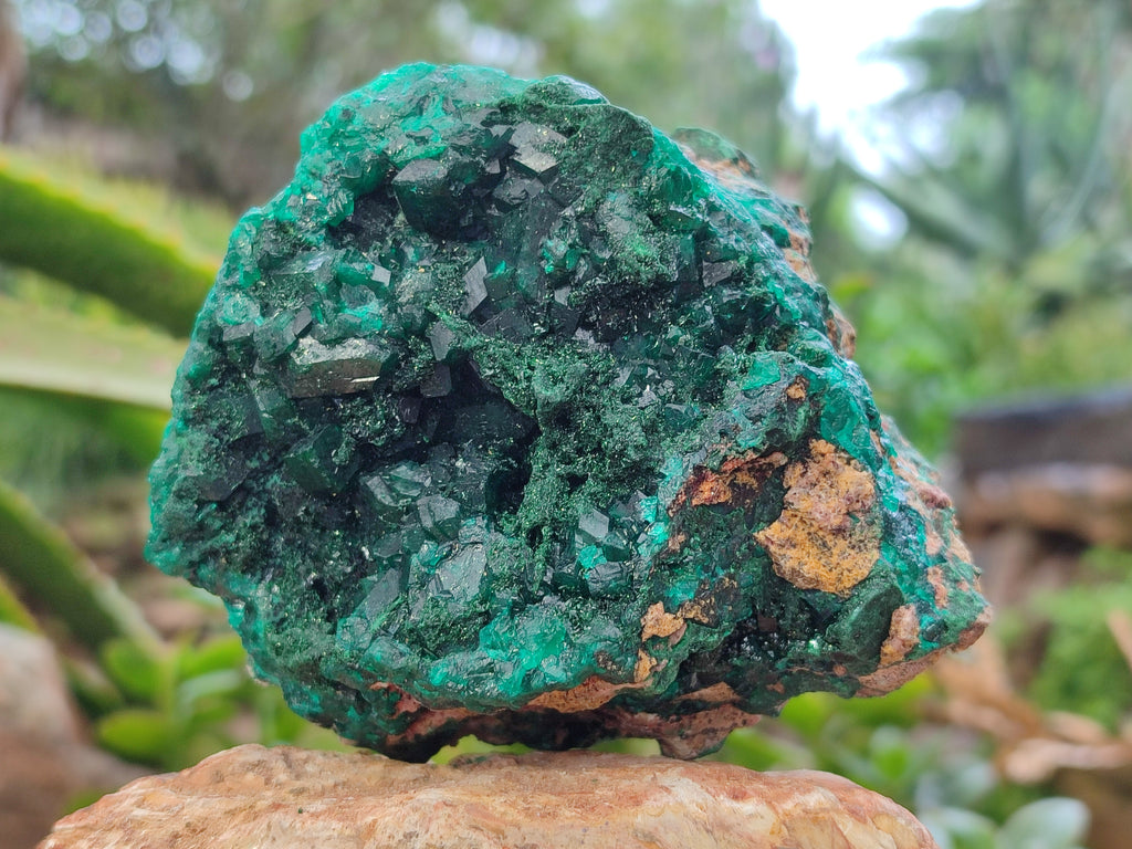 Natural Dioptase Cabinet Specimens x 2 From Likasi, Congo - Toprock Gemstones and Minerals 
