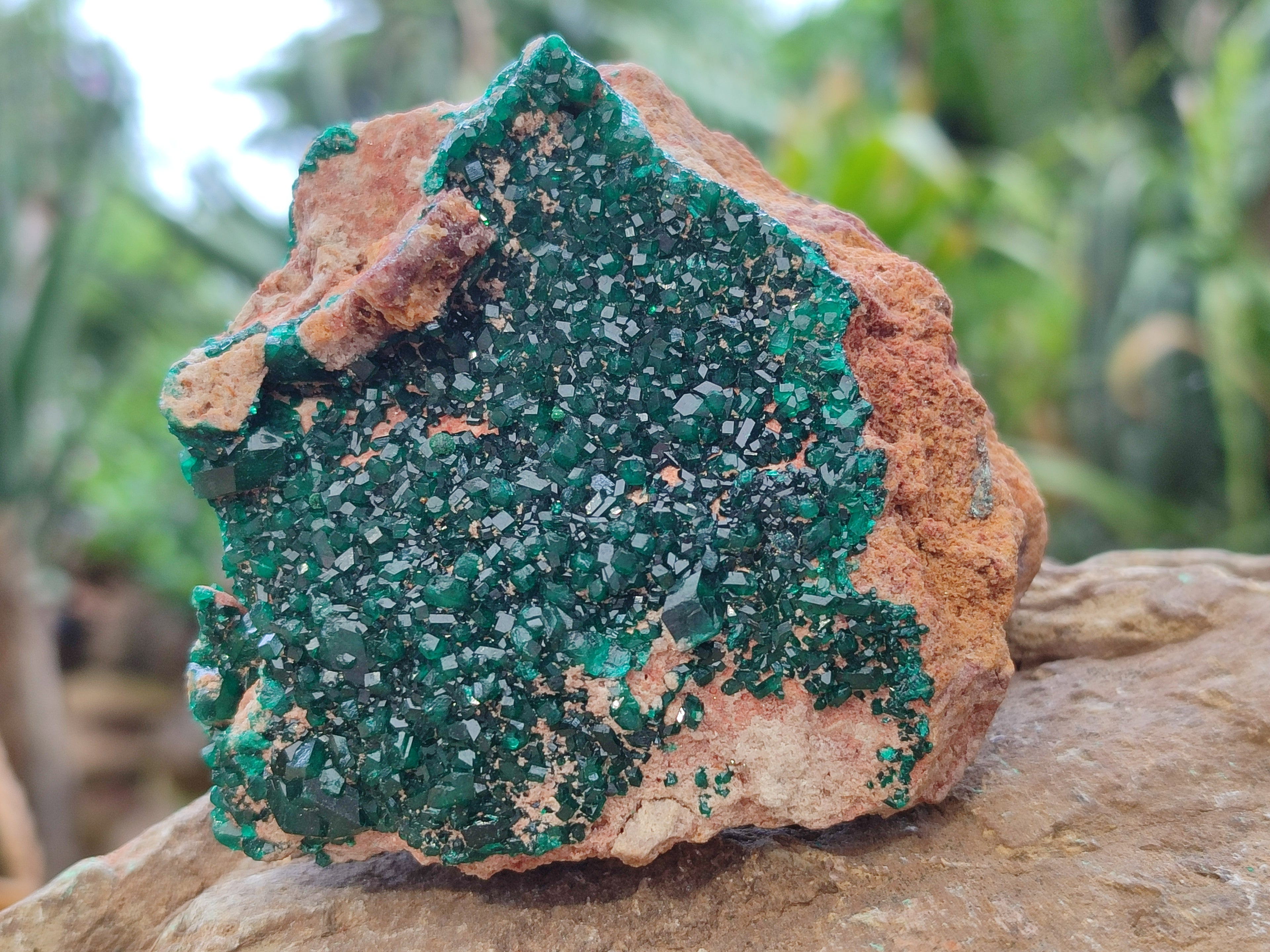 Natural Dioptase Cabinet Specimens x 2 From Likasi, Congo - Toprock Gemstones and Minerals 