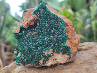 Natural Dioptase Cabinet Specimens x 2 From Likasi, Congo