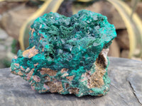 Natural Dioptase Cabinet Specimens x 2 From Likasi, Congo