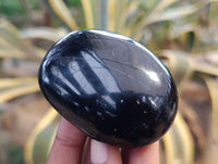 Polished Black Schorl Tourmaline Galet / Palmstones x 12 From Madagascar