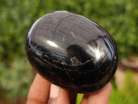 Polished Black Schorl Tourmaline Galet / Palmstones x 12 From Madagascar