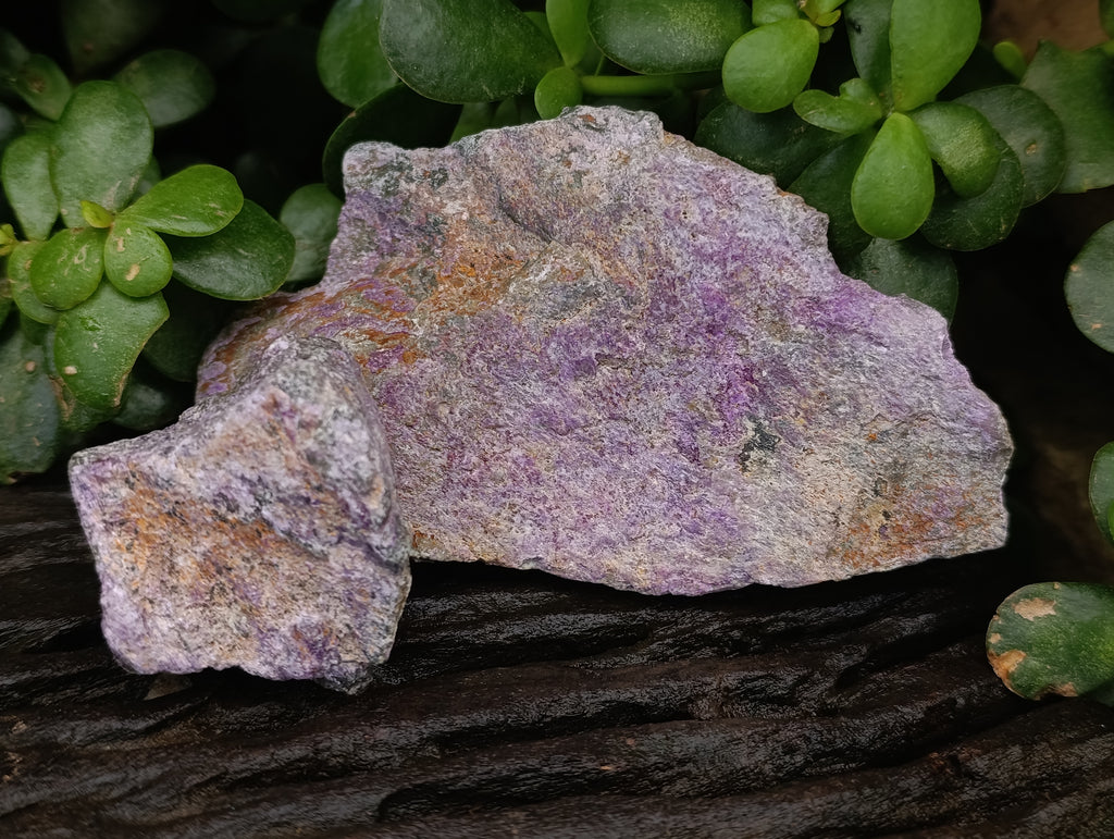 Natural Stichtite Cobbed Specimens x 2.02 Kg Lot - From Barberton, South Africa - Toprock Gemstones and Minerals 