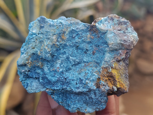 Natural Shattuckite with Chrysocolla and Malachite Cobbed Specimens x 24 From Kaokoveld, Namibia