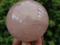 Polished Rose Quartz Spheres with Asterism-Star x 3 From Ambatondrazaka, Madagascar
