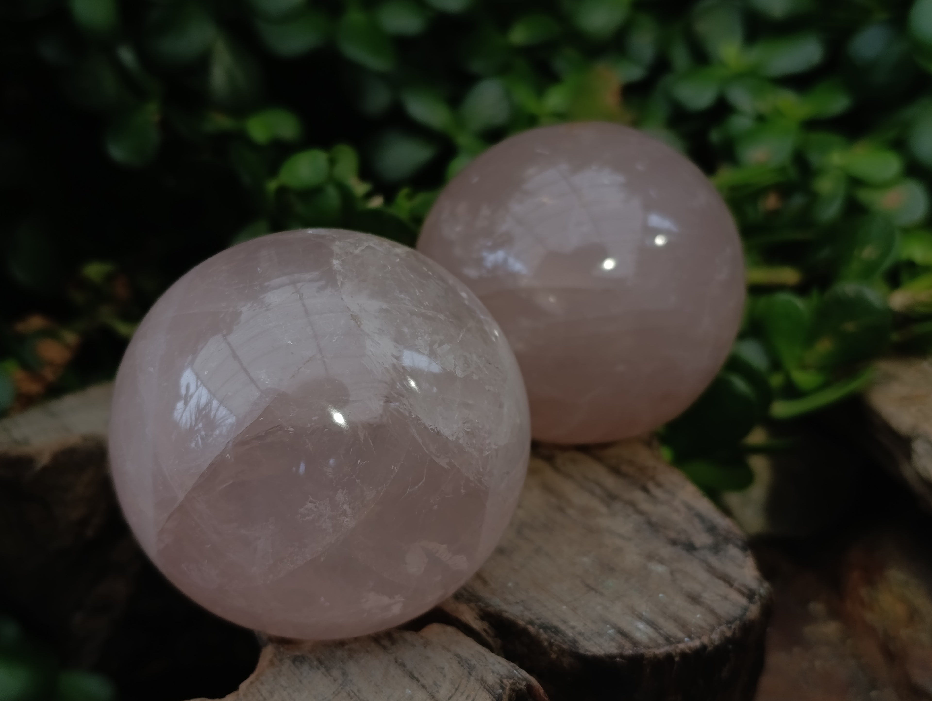 Polished Rose Quartz Spheres with Asterism-Star x 3 From Ambatondrazaka, Madagascar - Toprock Gemstones and Minerals 