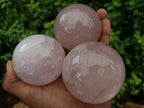 Polished Rose Quartz Spheres with Asterism-Star x 3 From Ambatondrazaka, Madagascar - Toprock Gemstones and Minerals 