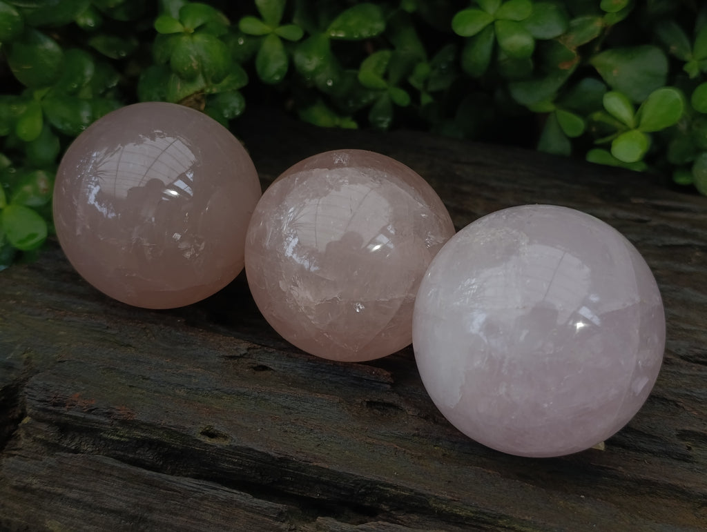 Polished Rose Quartz Spheres with Asterism-Star x 3 From Ambatondrazaka, Madagascar - Toprock Gemstones and Minerals 
