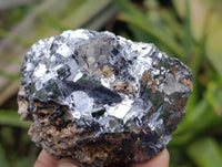 Natural Silver Lead Galena Specimens x 8 From Namibia