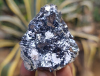 Natural Silver Lead Galena Specimens x 8 From Namibia