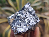Natural Silver Lead Galena Specimens x 8 From Namibia